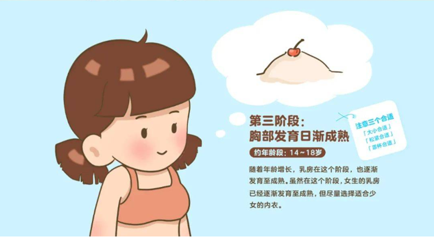 image-20230615085500559