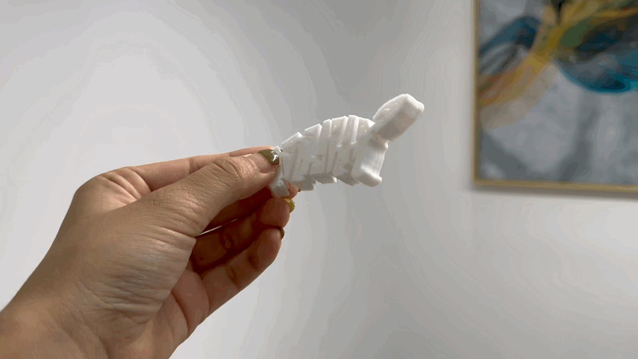 部件灵活  小乌龟