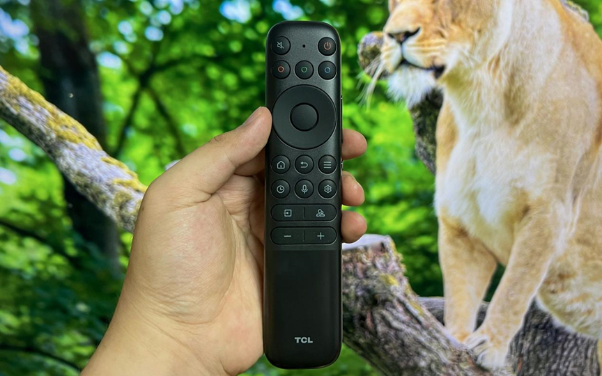 image-20230805141504166