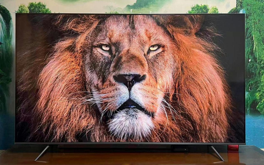 image-20230805141630893