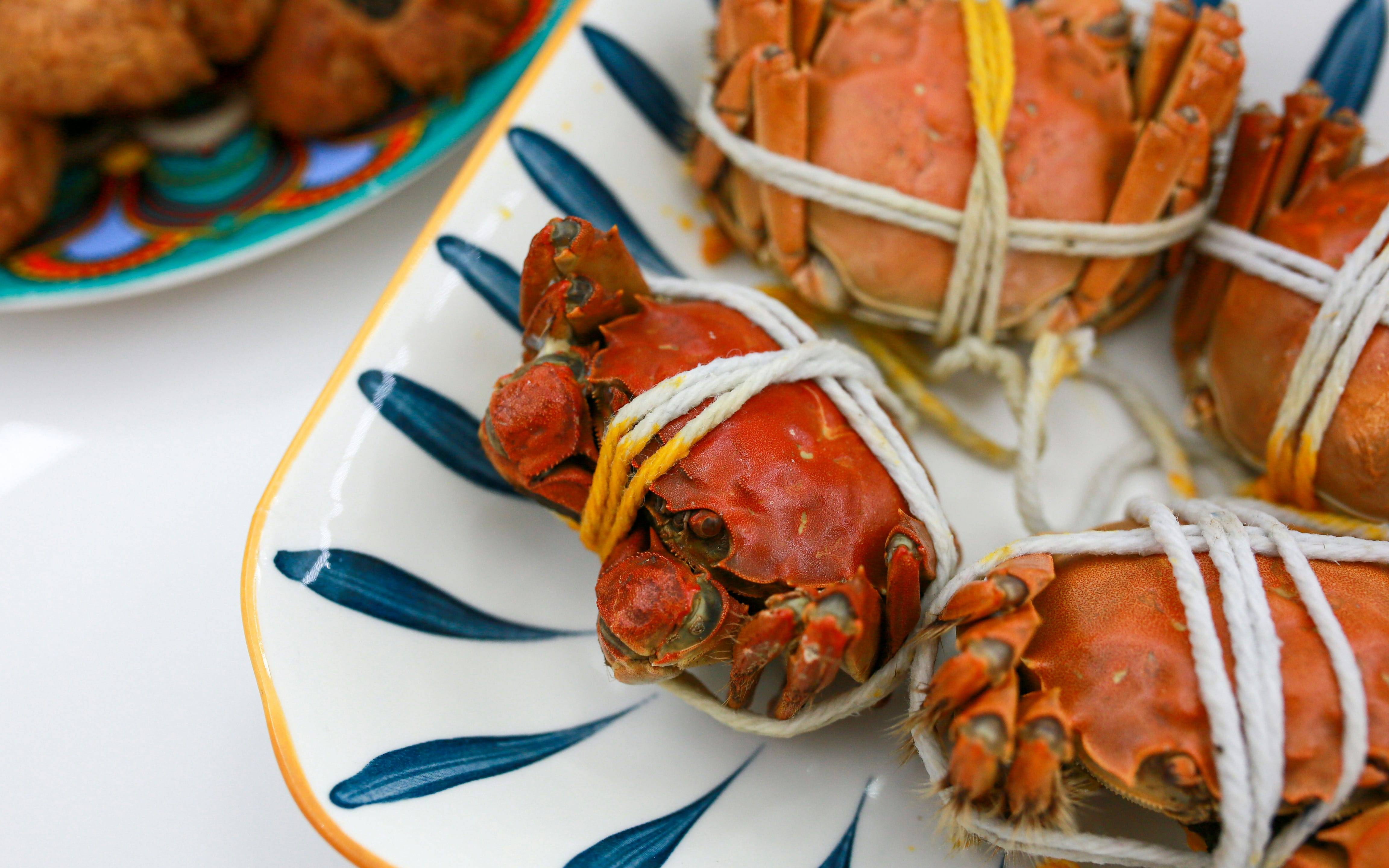 宜盾普 X3 双风炉微蒸烤一体机，竟成为我的厨房新宠！