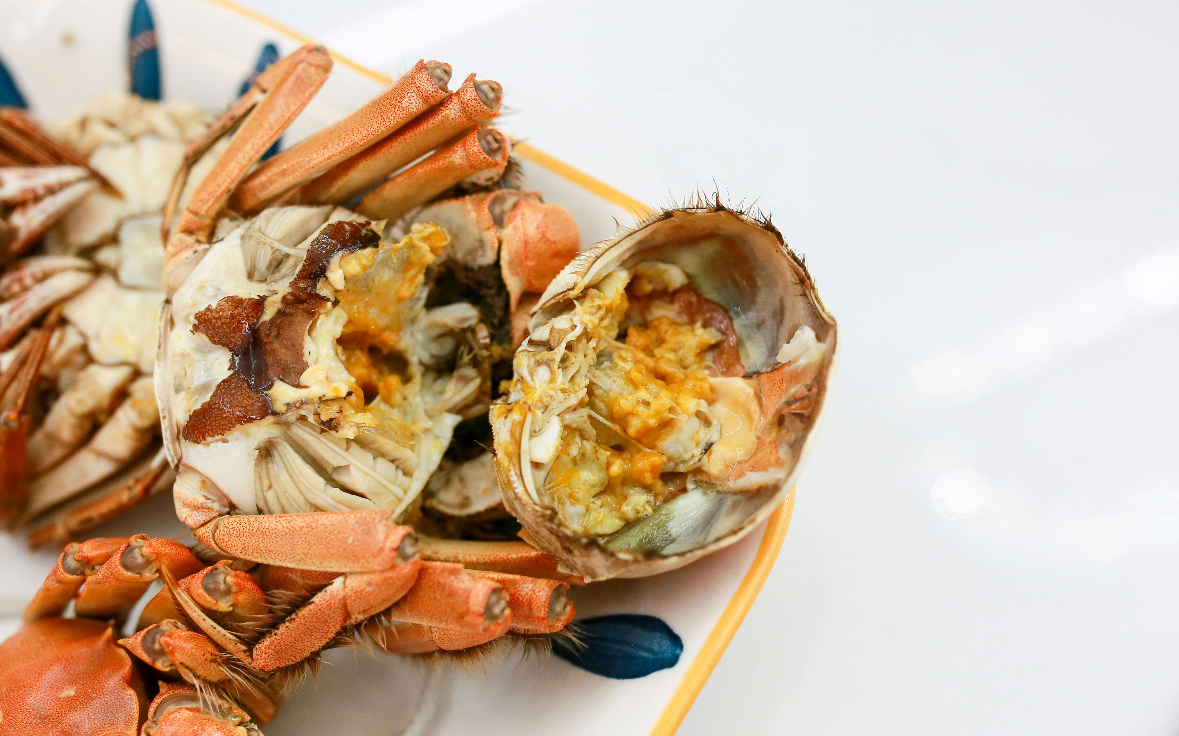 宜盾普 X3 双风炉微蒸烤一体机，竟成为我的厨房新宠！