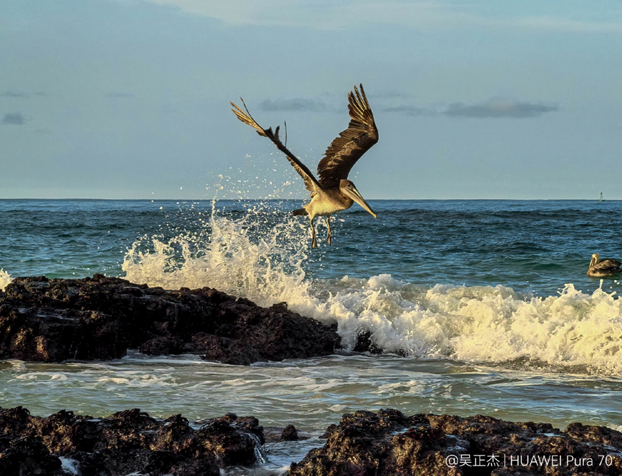 历史最低价,关于双十一期间华为Pura 70系列的选购详解