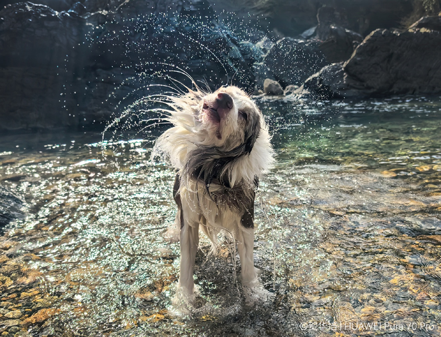 历史最低价,关于双十一期间华为Pura 70系列的选购详解