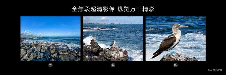 历史最低价,关于双十一期间华为Pura 70系列的选购详解