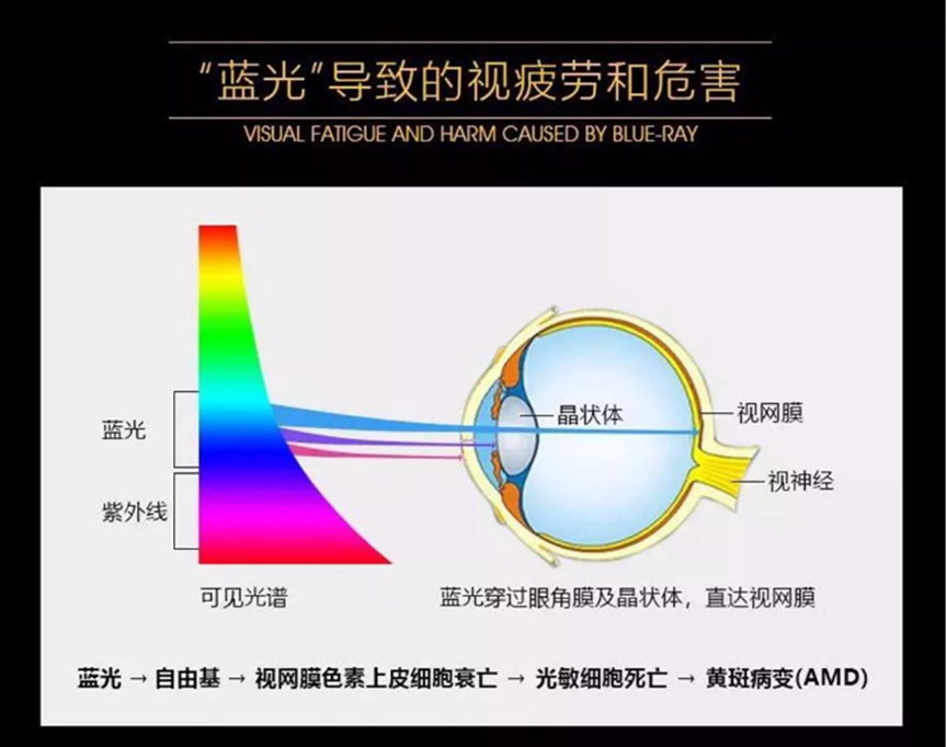 护眼灯怎么选？家长必看公平对比，让孩子的眼睛更健康