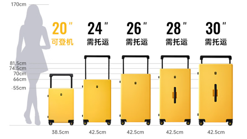新年新气象！解锁生活新体验，盘点年度超值好物让你活力满满