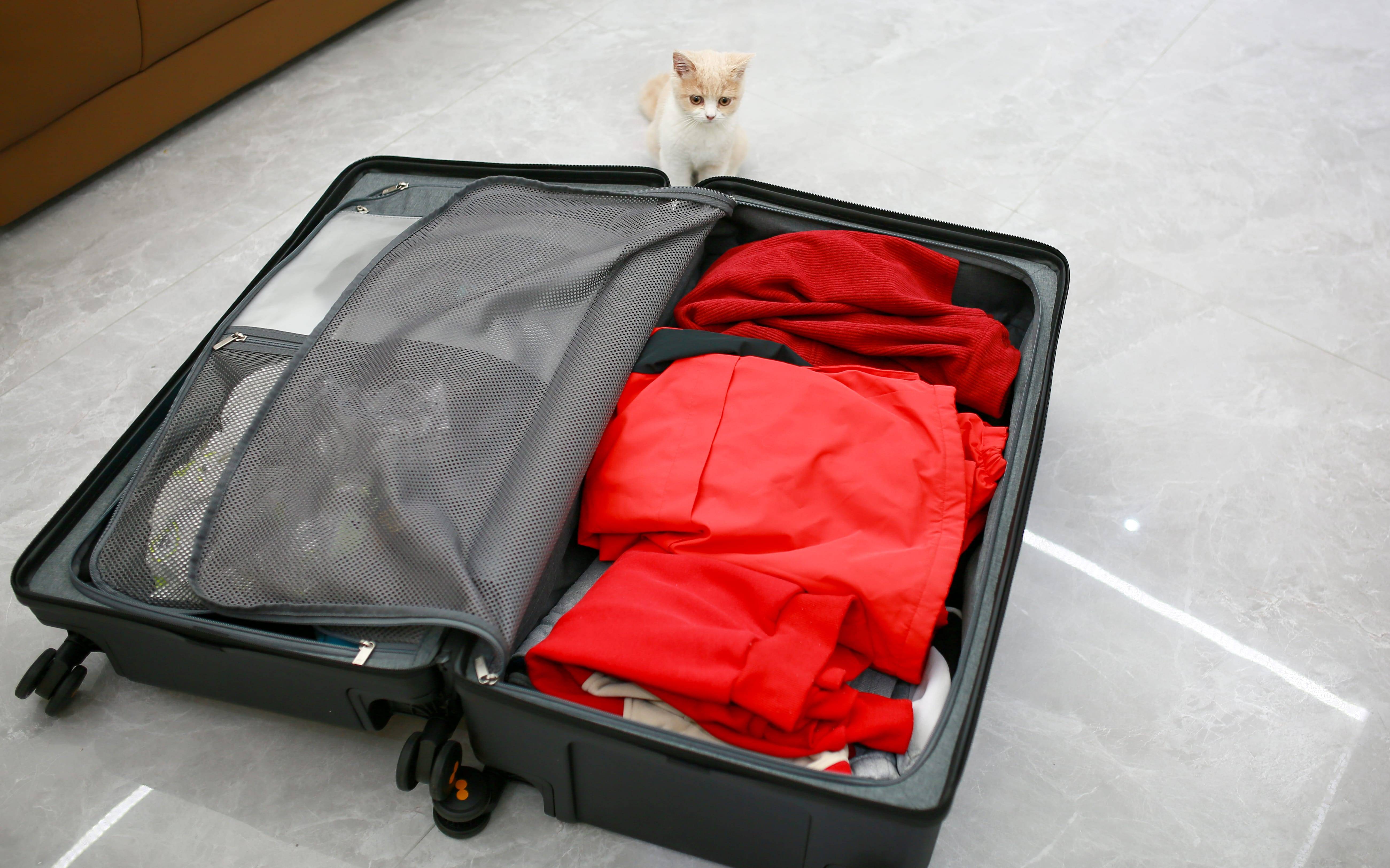 新年新气象！解锁生活新体验，盘点年度超值好物让你活力满满