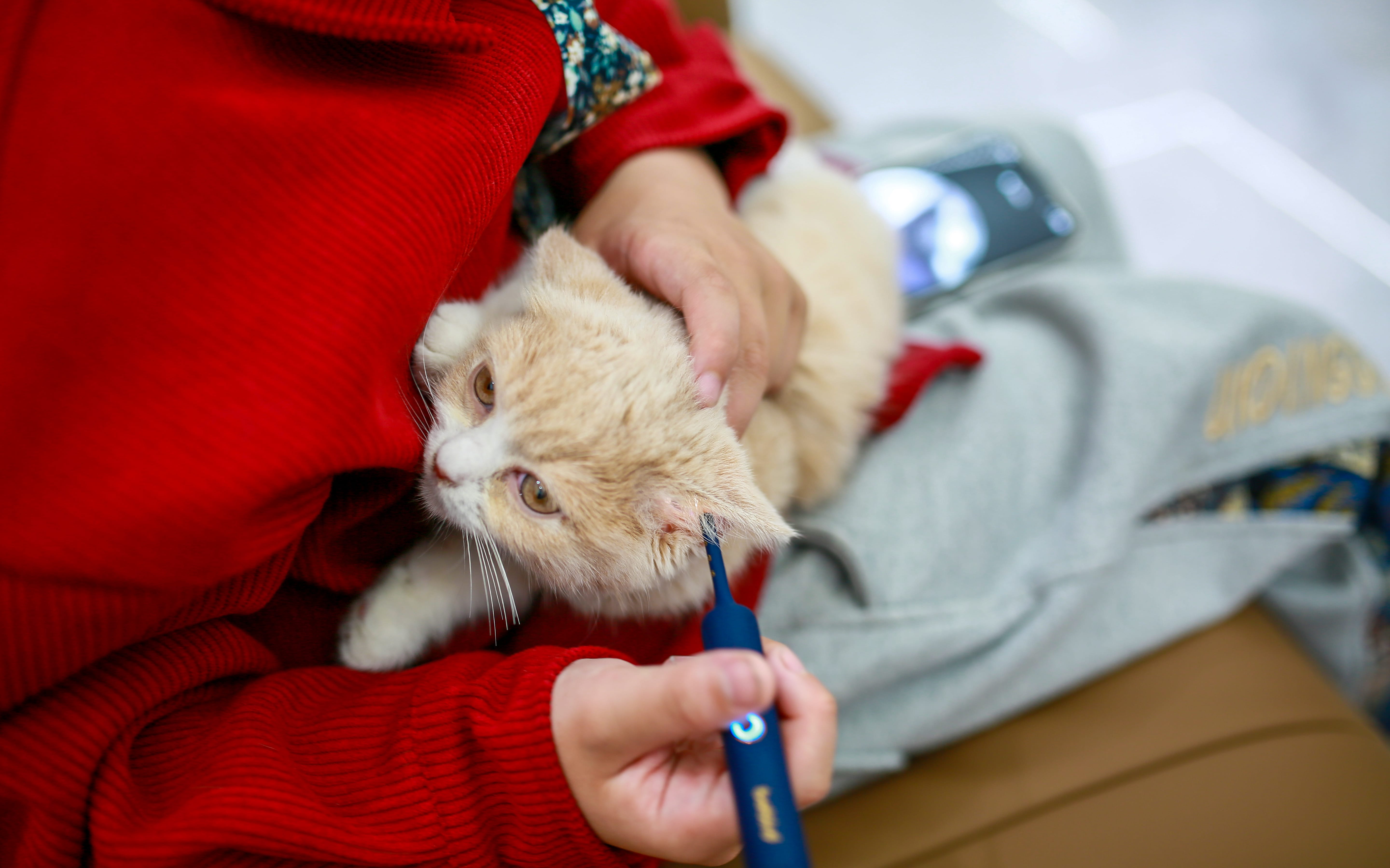 蜂鸟可视挖耳勺：大人孩子都适用，安全柔软，轻松解决掏耳烦恼！