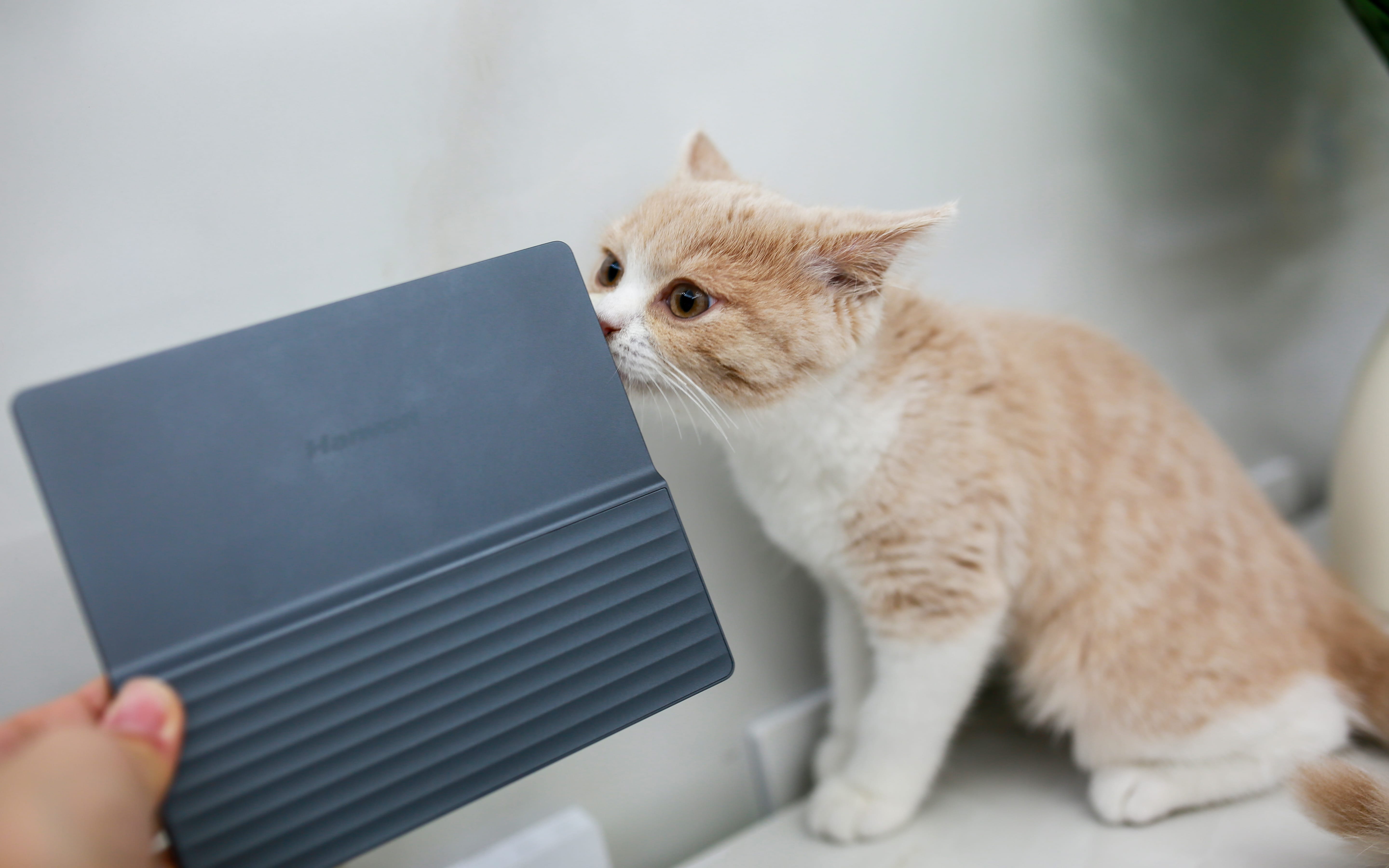 全面刷新阅读体验！汉王Clear7 Turbo为何备受追捧？