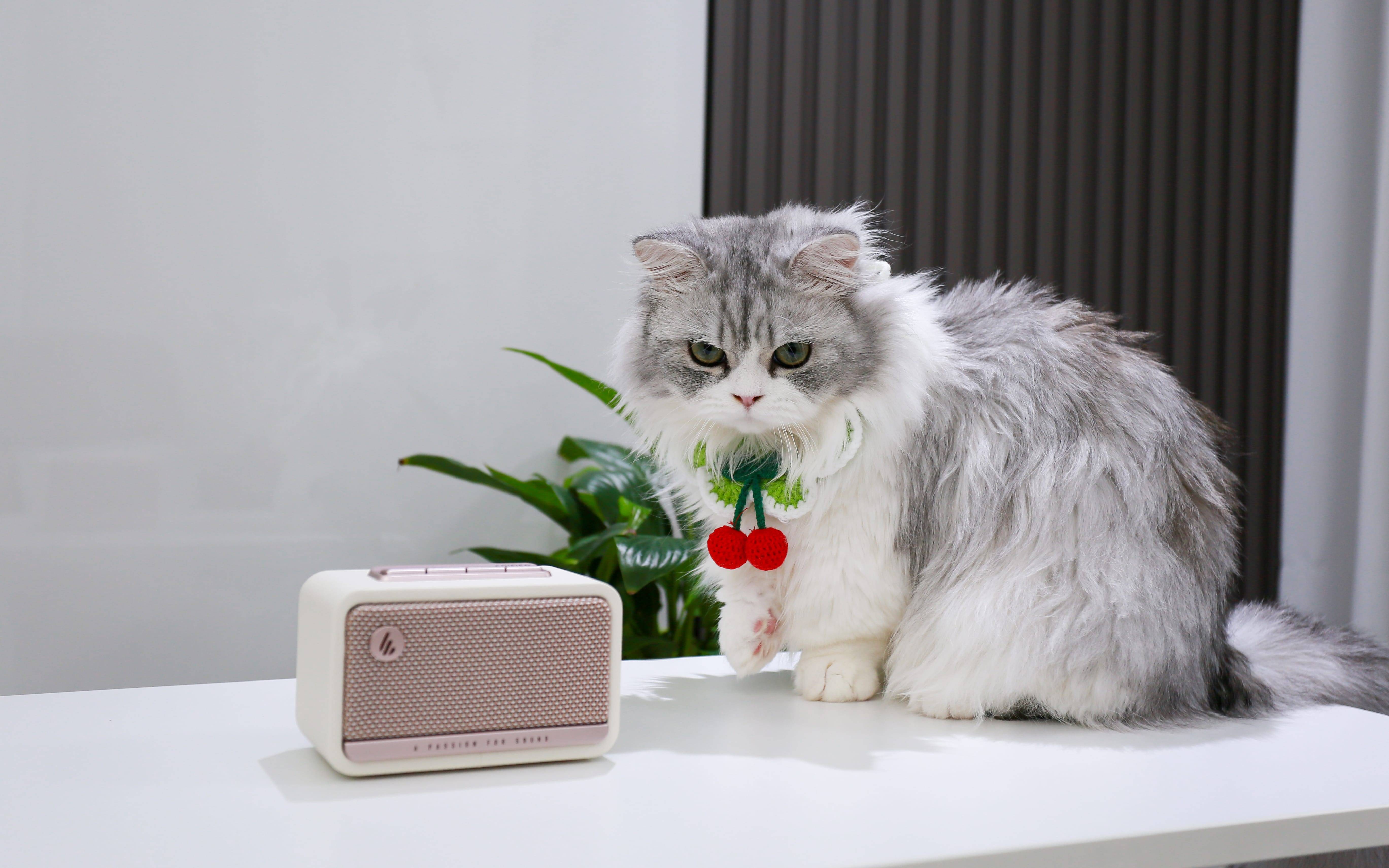 我最近真的被这 3 件好物救了：存储、音箱、键盘全换了一轮